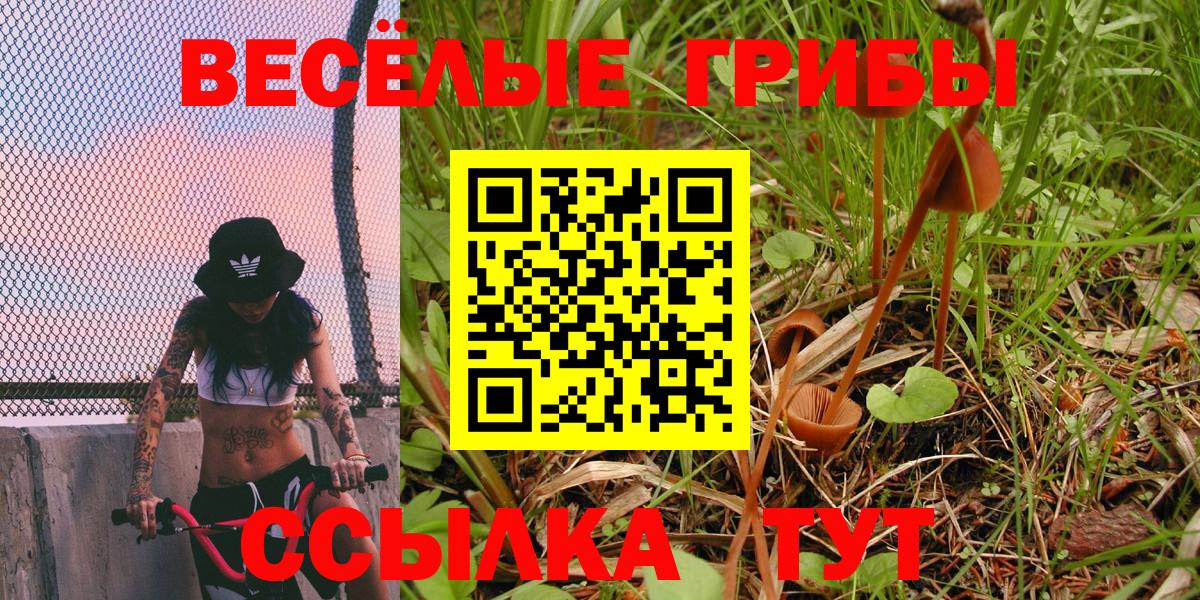 Ишим  Галлюциногенные грибы прущие грибы  Псилоцибиновые грибы ЛСД  Вход с VPN 