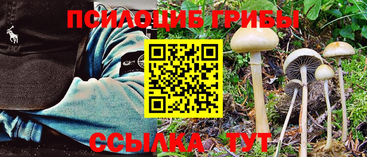 Псилоцибиновые грибы Magic Shrooms Ишим